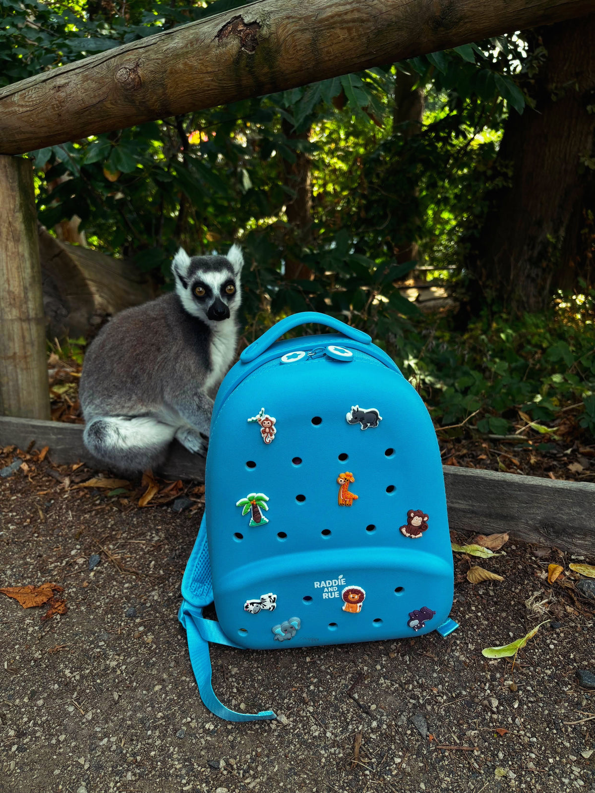 Raddie Rucksack - in Coast Blue